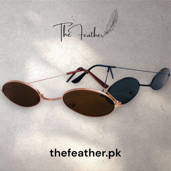 Oval Sunglasses Round Metal Frame Hip-Hop Style |BUY ONE GET ON FREE| BIG OFFER |THE FEATHER|